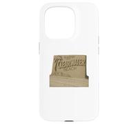 Clearwater Sculpture de Plage en Sable Motif Palmier côtier Coque pour iPhone 15 Pro