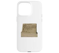 Clearwater Sculpture de Plage en Sable Motif Palmier côtier Coque pour iPhone 15 Pro Max