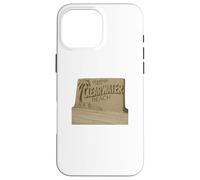 Clearwater Sculpture de Plage en Sable Motif Palmier côtier Coque pour iPhone 16 Pro Max