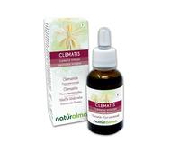 Clematis ou Clématite (Clematis vitalba) Remèdes floraux Naturalma - Gouttes 30 ml - Extrait liquide sans alcool - Essences florales - Vegan et sans alcool