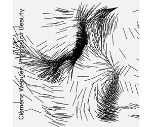 Clemens Wenger - Physics of Beauty