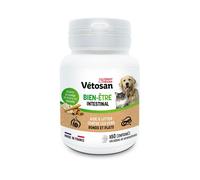 Clement Thekan Bien-être Intestinal Chien Chat 60 Comprimés Comprimé(S) pc(s)