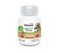 Clement Thekan Bien-être Intestinal Chien Chat 60 Comprimés comprimé(s) pc(s)