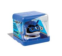 Clementoni - 17449 - Racing Bug - Scarabée - Robot télécommandé pour Enfants - Jeu éducatif et Scientifique, 4 Ans et Plus
