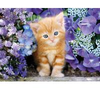 Clementoni 500Pcs Puzzle Ginger Cat In Flowers 30415*6