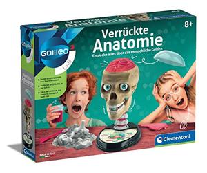 Clementoni Galileo Lab - Anatomie Folle, modèle de crâne Humain, Composants du Cerveau à découvrir, médecine & biologie pour Enfants à partir de 8 Ans par Clementoni 59221