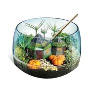 Clementoni Terrarium Harry Potter (19286)