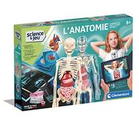 Clementoni – Jeu scientifique – L'anatomie – Multicolore