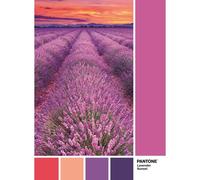 Clementoni Pantone 1000 Pièces - Vivid Viola