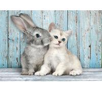 Clementoni Puzzle Cat & Bunny 500 pièces adulte - Puzzle adulte en 49 x 36 cm - Puzzle adulte sophistiqué de Clementoni 35539