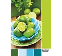 Clementoni Puzzle Pantone 1000 pièces - Lime Punch