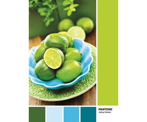 Clementoni Puzzle Pantone 1000 pièces - Lime Punch