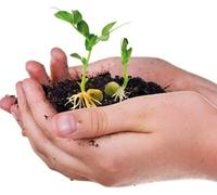 Clementoni Science & Jeu La Biosphère