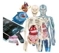 Clementoni Lab Super-Laboratoire Anatomie, Expériences Science, Jeu Scientifique 8 Ans - Fabriqué en Italie, Multicolore, 19299