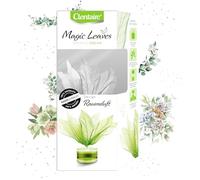 CLENTAIRE Emerald Dream Lot de 15 désodorisants de qualité supérieure avec fleurs faites à la main 50 ml
