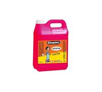Cléopâtre Gouache Néfertari Baby Magenta 2 Litres