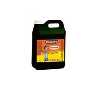 Cléopâtre Gouache Néfertari Baby Noir 2 Litres