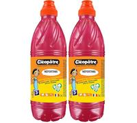 Cléopâtre - PGBB1-12 - Peinture Gouache Néfertari - Magenta - Flacon 1 L (Lot de 2)
