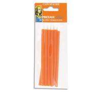 CLEOPATRE Sachet de 10 pinceaux à colle manche plastique