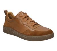 Cleve 01 camel 46