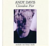 Clevedon Pier by Andy Davis (2007-05-28)