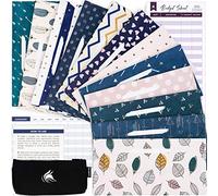 Clever Fox Enveloppes de Caisse Système Budgétaire - Enveloppes d'Argent Budget Epargne, 12 Couleurs, Résistant à la Déchirure et à l'Eau, Pochette de Transport 12 Feuilles de Budget Suivi Dépenses