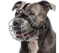 CleverTail Muselière Pitbull en métal pour chien de grande taille - Muselière pour chien avec sangles réglables en cuir - Muselière en cage en acier pour éviter les morsures - Protège-dents pour grand