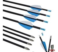 Clianle Ensemble de tir à l'arc avec flèches de Chasse en Carbone de 31 Pouces, Pointe effilée pour Arc à poulies et Arc Classique, pour Adultes et débutants (6/12 pièces) (Blue-6Pcs)