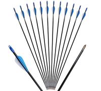 Clianle Flèches d'entraînement en Fibre de Verre de 29 Pouces Tir à l'arc Tir à l'arc pour Jeunes pour Arc à poulies Arc Classique Droit pour Le Sport et Les activités de Plein air 12 pièces-Bleu