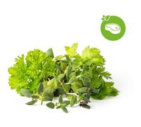 Click and Grow Mix Steak&Grill, capsules avec graines et substrat 9pcs