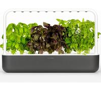 CLICK AND GROW Smart Garden 9 Click And Grow Smart Garden 9, Gris