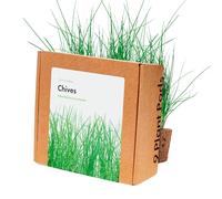 Click and Grow Smart Garden Lot de 9 capsules de ciboulette