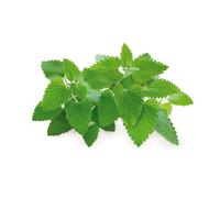 Click And Grow - Smart Garden Refill 3-Pack - Catnip (Sgr29x3)