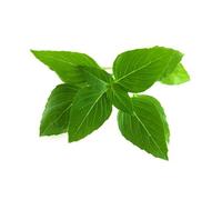 Click And Grow - Smart Garden Refill 3-Pack Thai Basil