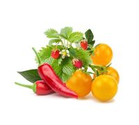 Click & Grow Recharge Mix Fruits et Légumes - 9 Capsules (3x3) pour Jardin Intelligent G