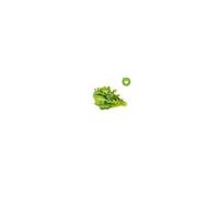 Click And Grow - Smart Garden Refill 9-Pack Green Sallad Mix