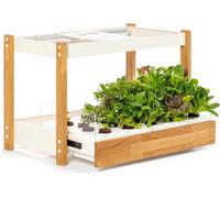Click & Grow 25 - Jardin Potager d'Intérieur - 25 Emplacements