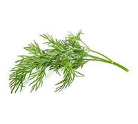Click & Grow Aneth