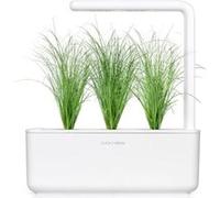 Click & Grow Herbe ornementale / 3-pack - Capsules décoratives pour jardin d’intérieur intelligent G