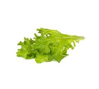 Click & Grow Laitue feuille de chêne / 3-pack - Capsules de salade pour jardin d'intérieur intelligent