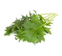 Click & Grow Mizuna / 3-pack - Capsules de salade japonaise pour jardin d’intérieur intelligent G