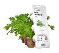 Click and Grow Smart Garden Capsules de Moutarde Brune, Pack de 3 Capsules