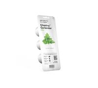 CLICK&GROW PACK 3 CAPSULES CORIANDRE