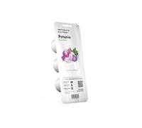 CLICK&GROW PACK 3 CAPSULES PETUNIA
