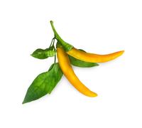 Click & Grow Yellow Chili Pepper / 3-pack (copy)