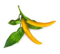 Click & Grow Piment jaune / 3-pack - Capsules de piment fort décoratif pour jardin d’intérieur intelligent G