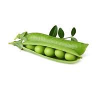 Click & Grow Pois Nain