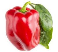 Click & Grow Poivron doux rouge / 3-pack - Capsules de poivron sucré pour jardin d’intérieur intelligent G