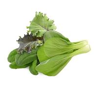 Click & Grow Asian Cuisine Mix /9-pack G