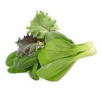 Click & Grow Asian Cuisine Mix /9-pack G